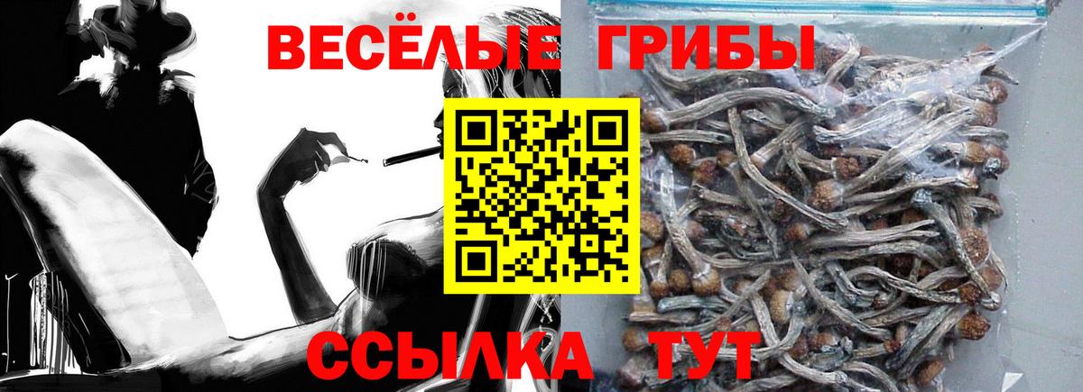 Галлюциногенные грибы GOLDEN TEACHER Карпинск
